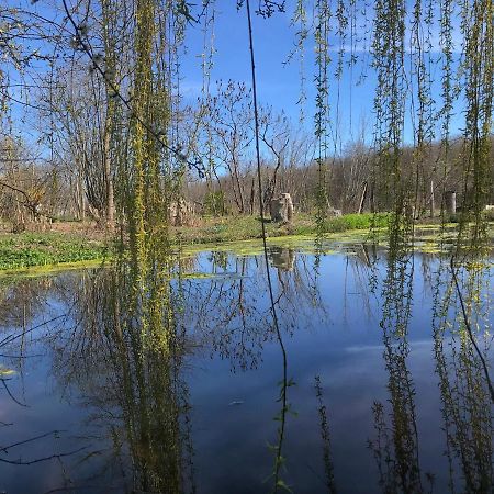 La Barcelle, Une Pause Nature. Perrigny  Dış mekan fotoğraf